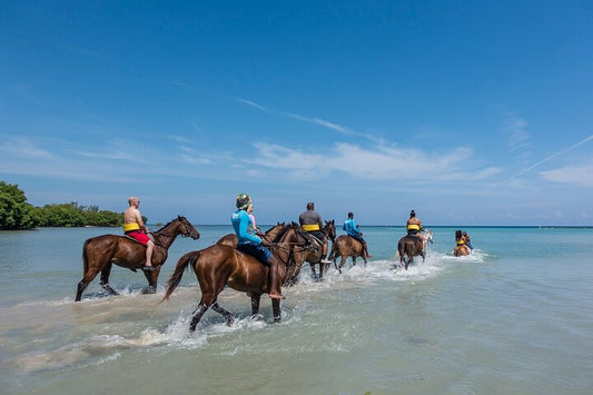 Horseback Riding - In The Ocean & On Sand